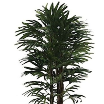 Umetna rastlina Fan Palm 140h 400 listov z loncem