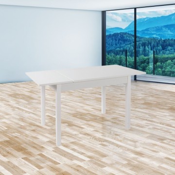 Pravokotna raztegljiva miza Florence 120x80 Ash white