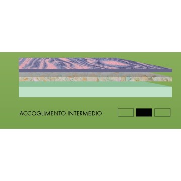 Hipoalergena tkanina EcoSoft za dvojno ležišče 160x190