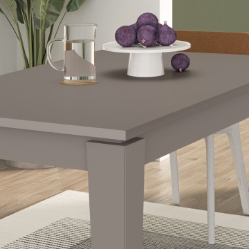 Tolmen podaljšana miza light mocha dove grey 140x80 cm